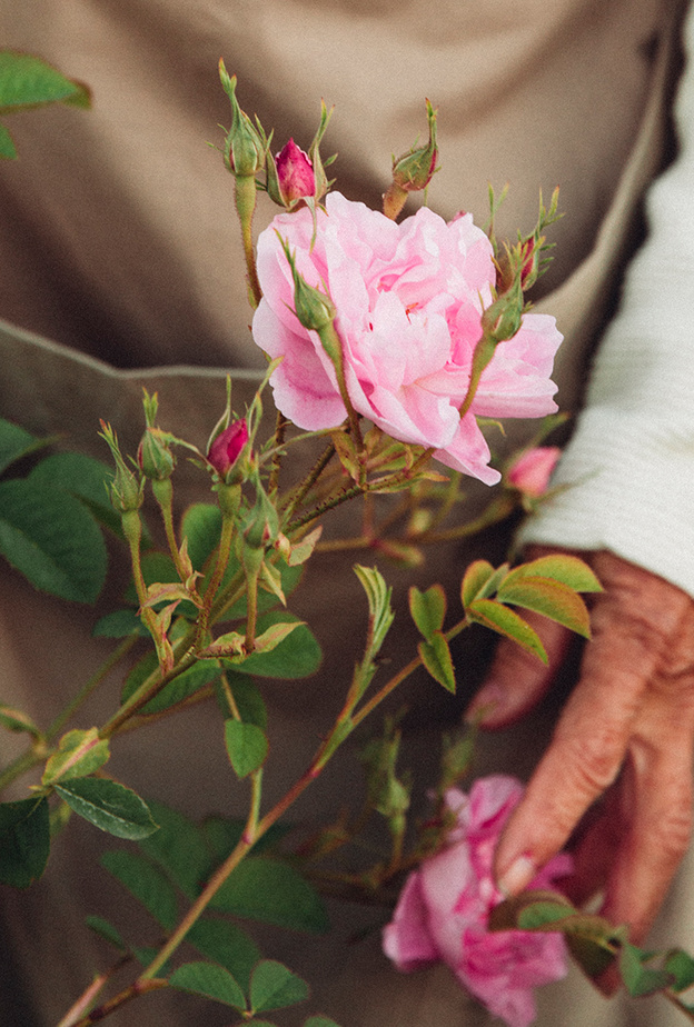 مستحضرات "لانكوم" تجدد إلتزامها بالاستدامة عبر الارتقاء بالعلوم الخضراء 