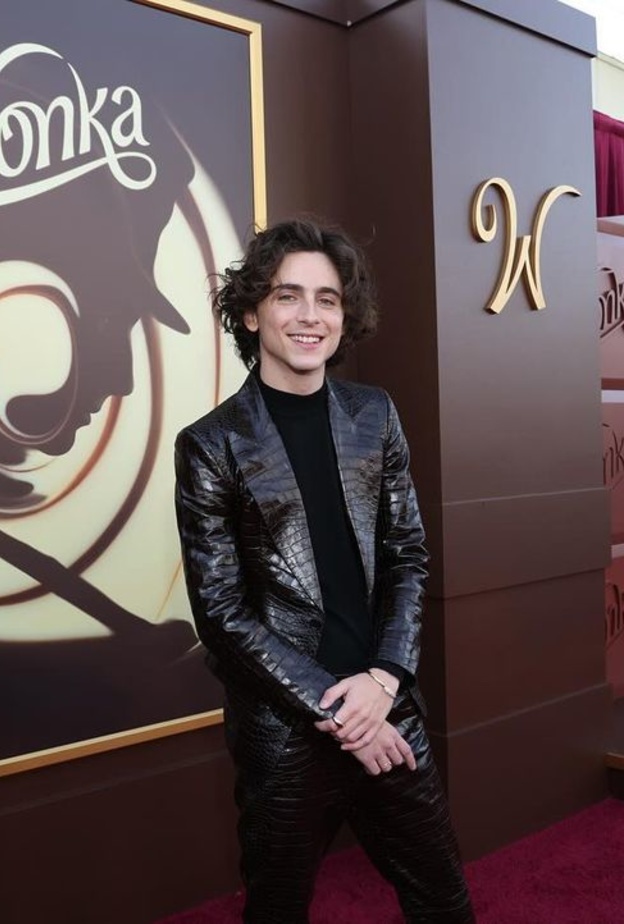 من الطفولة للشباب.. أدوار بارزة للنجم تيموثي شالاميت جعلته في الصدارة بالتزامن مع عرض فيلم "Wonka"