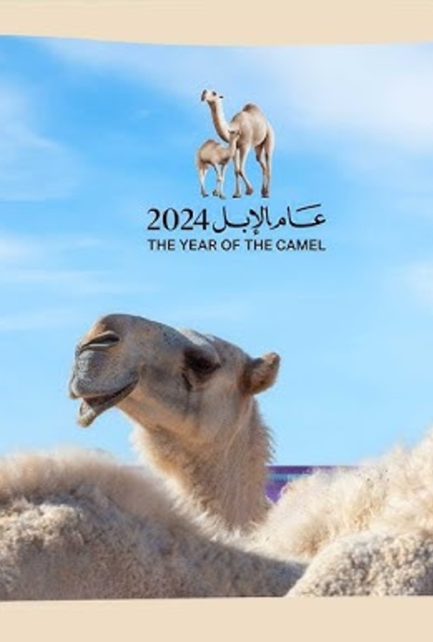 عام الإبل 2024 كل عام بهوية ثقافية مميزة وأصيلة.. لماذا يتم تسمية الأعوام السعودية