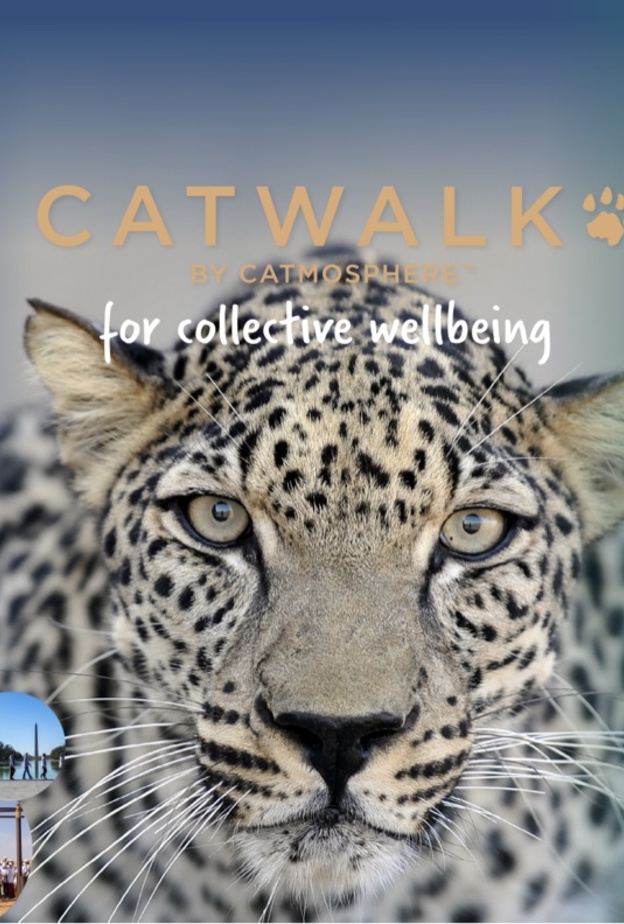 لا تفوتوا فرصة المشاركة في ماراثون الرياض 2024 والانضمام لمبادرة  CATWALK