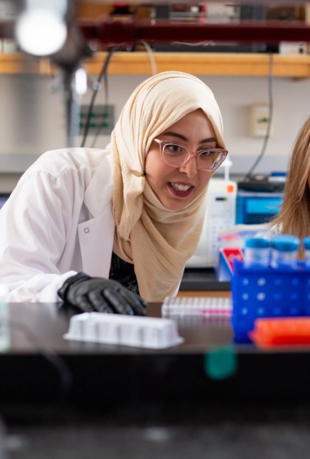 الدكتورة ولاء قطان 