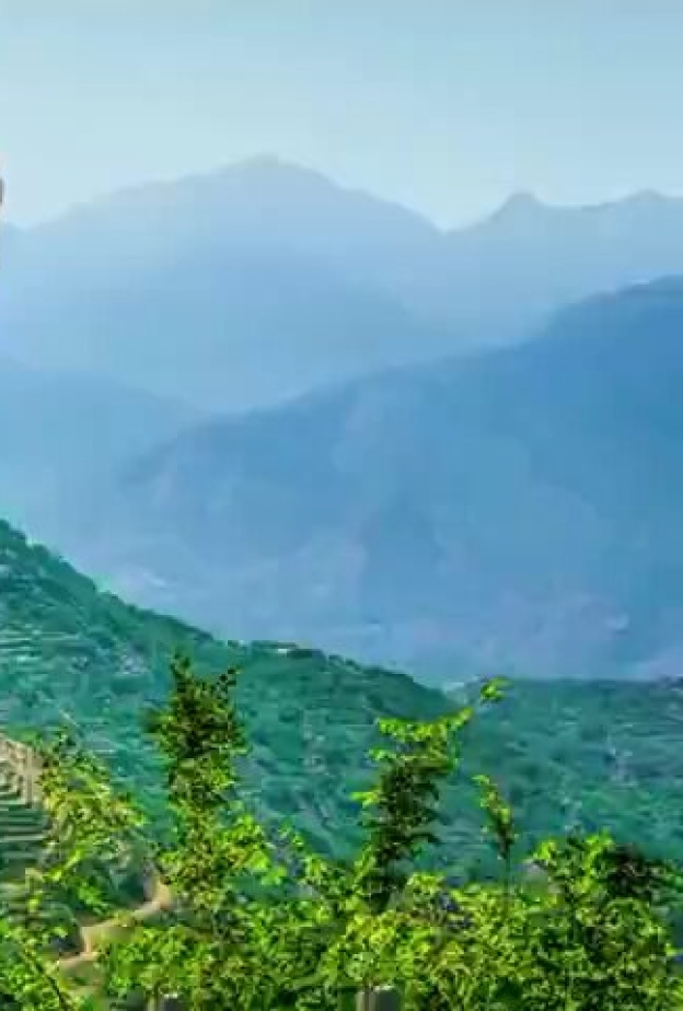 مسيرة "كات ووك " تتخطى 5 قارات ووزير الثقافة السعودي يحتفي بهذا الإنجاز 