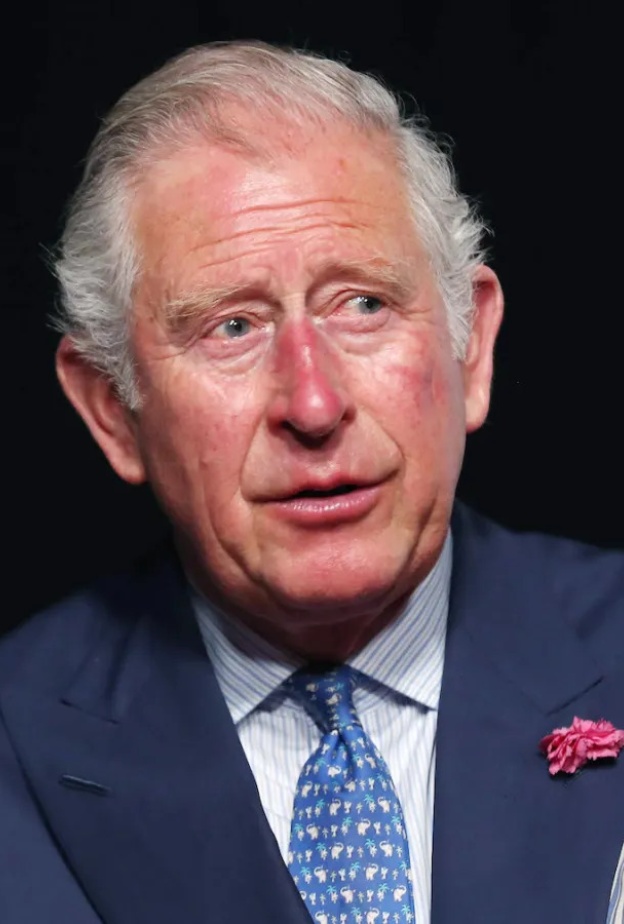 كيف سيتغير وضع الأمير آرتشي والأميرة ليليبيت إذا تنازل الملك تشارلز عن العرش؟