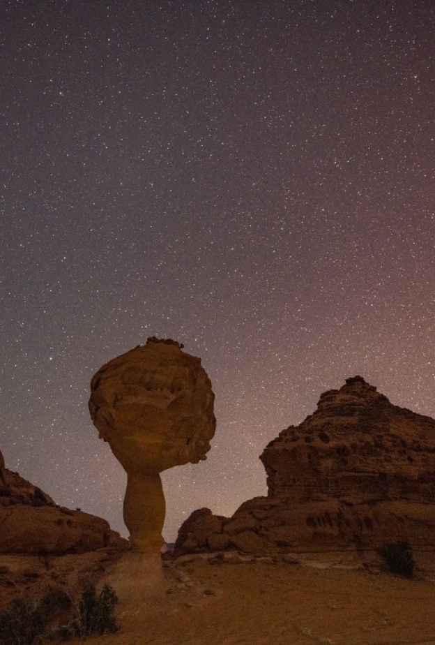 مهرجان العلا للفنون