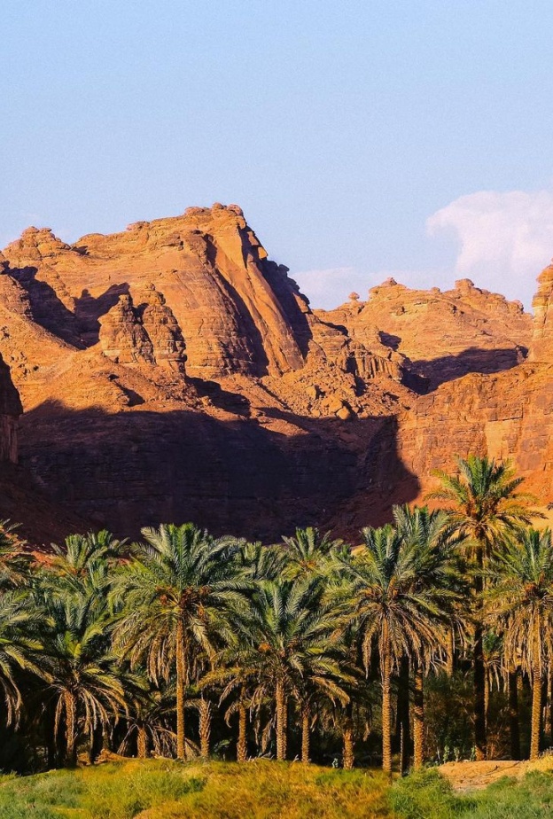 لأول مرة .. فريق نسائي ينضم لـ حماة الطبيعة ضمن محميات العلا 