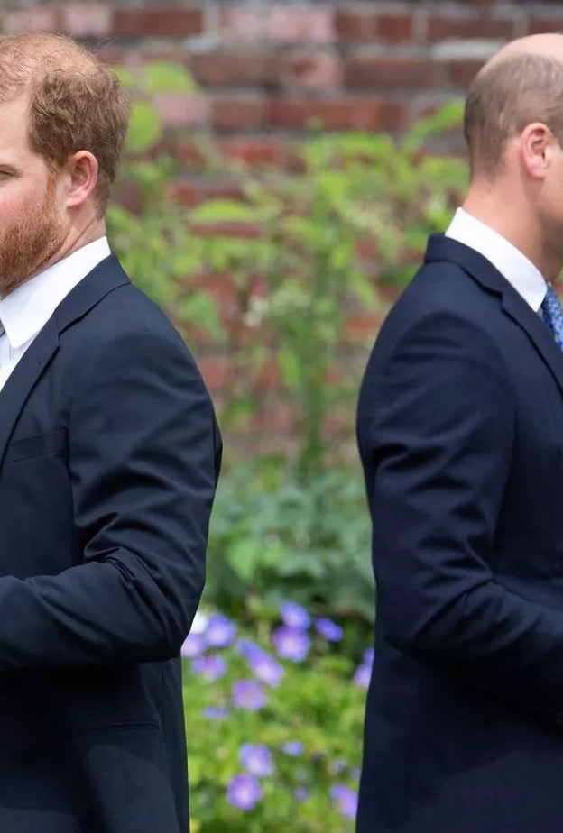 الأمير ديانا تفشل في جمع الأميرين وليام وهاري مجددا