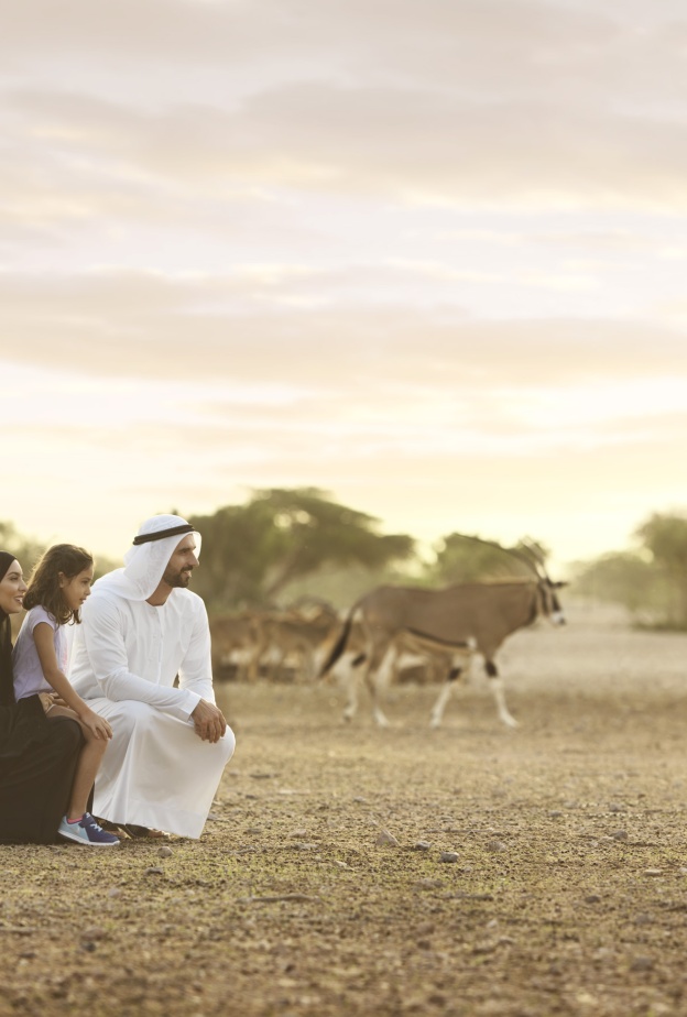 6 تجارب ساحرة لعشاق الطبيعة الخلابة في جزيرة صير بني ياس مع منتجعات أنانتارا