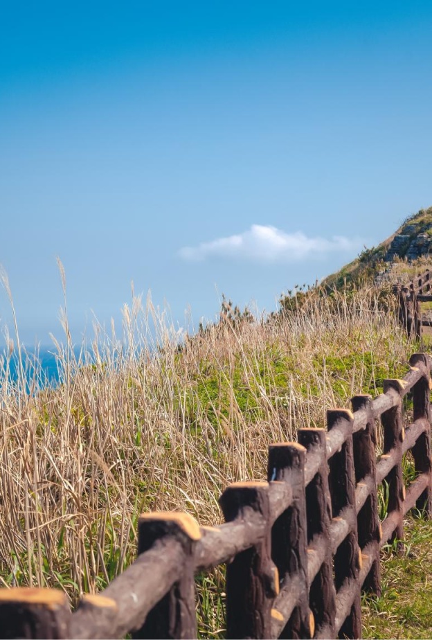 أفضل المواقع السياحية في جزيرة جيجو الكورية الجنوبية