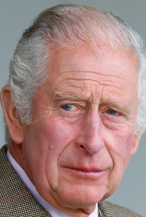 مزرعة الملك تشارلز للطاقة الشمسية تؤثر على ممتلكات جيرانه