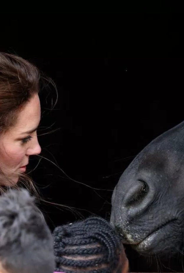 أشياء يتحسس منها أفراد العائلة الملكية.. أبرزها الحيوانات والسيلفي