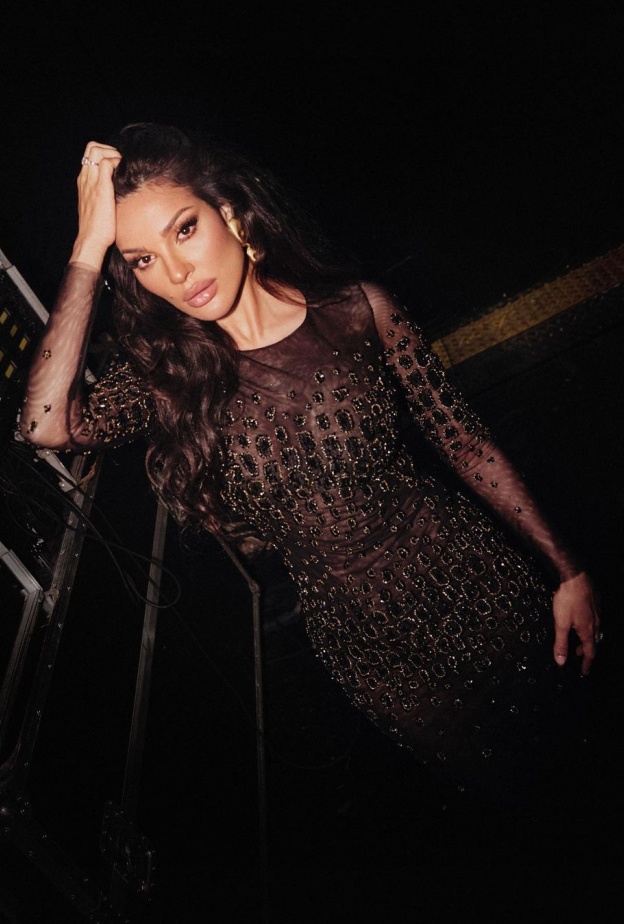 نادين نسيب نجيم