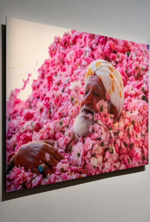 "هي" تختار لكِ هذه الفعاليات المميزة لزيارتها في نهاية الأسبوع في الرياض