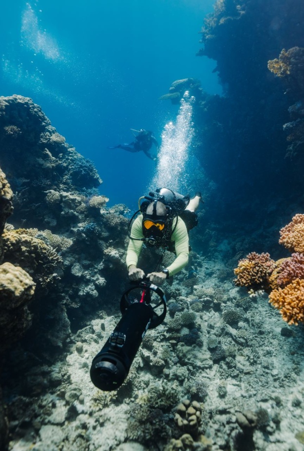 تجارب لا يمكن تفويتها في البحر الأحمر.. مغامرات استثنائية بانتظارك