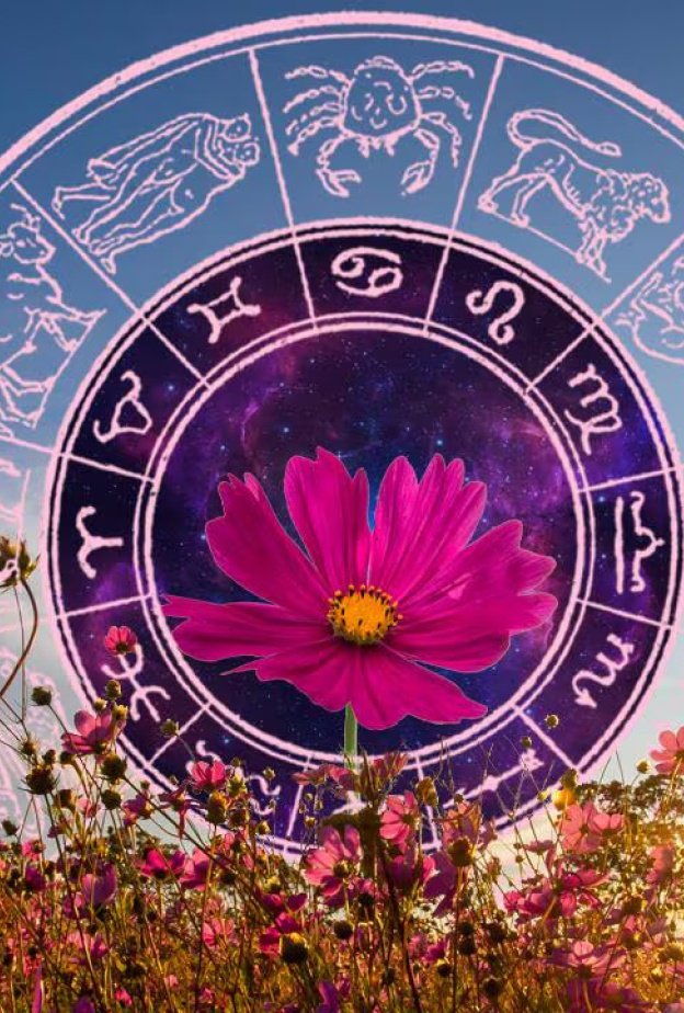 تأثير الانقلاب الصيفي 2024 على كل برج