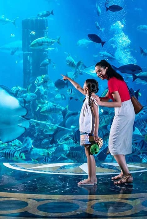 إليكم أبرز فعاليات الموسم الجديد من "مفاجآت صيف دبي"