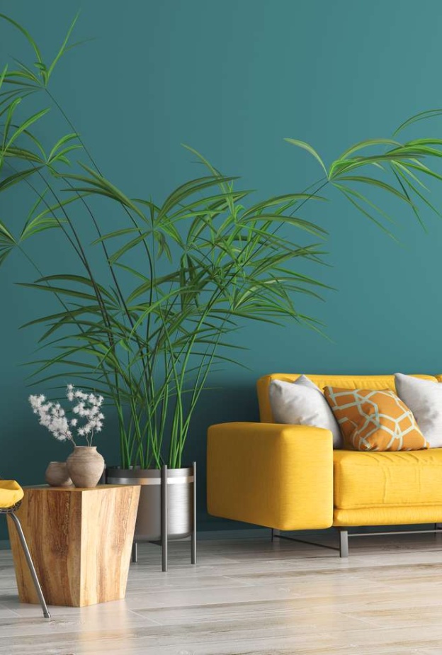 تناسب البيوت الحديثة الألوان الجريئة والحيوية بشكل أكبر