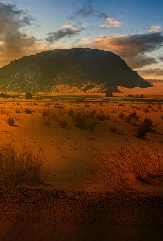 5 وجهات صحراوية فاتنة للمغامرة بين الكثبان الرملية المهيبة بالمملكة