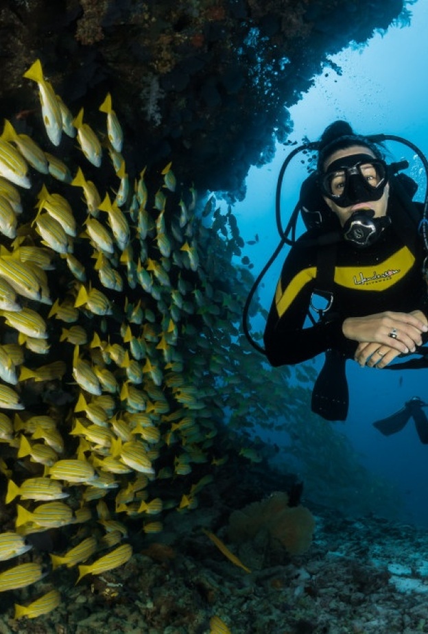 جدة في 96 ساعة: رحلة صيفية فريدة تمزج بين التراث والحداثة