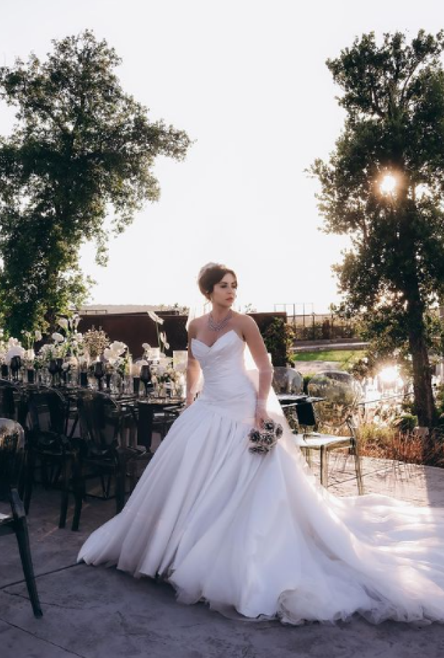 زيجات وخطوبة النجوم في يونيو 2024 بينها زفاف سارة أبي كنعان وشيرين أبو العز