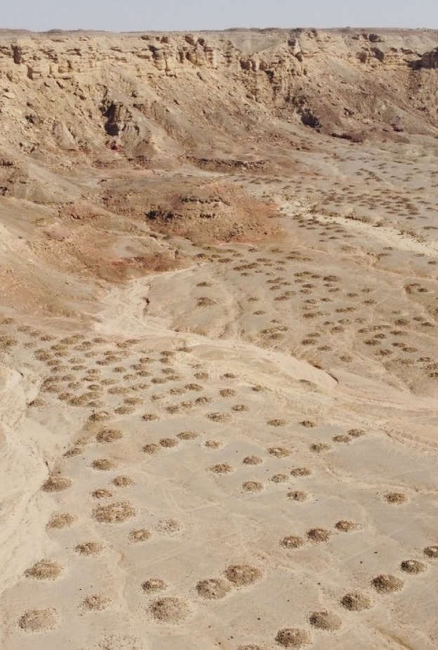 المملكة تُسجّل المنظر الثقافي لمنطقة الفاو الأثرية في قائمة التراث العالمي لليونسكو