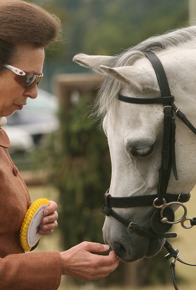 الأميرة آن توجه رسالة حزينة عقب خروجها من المستشفى