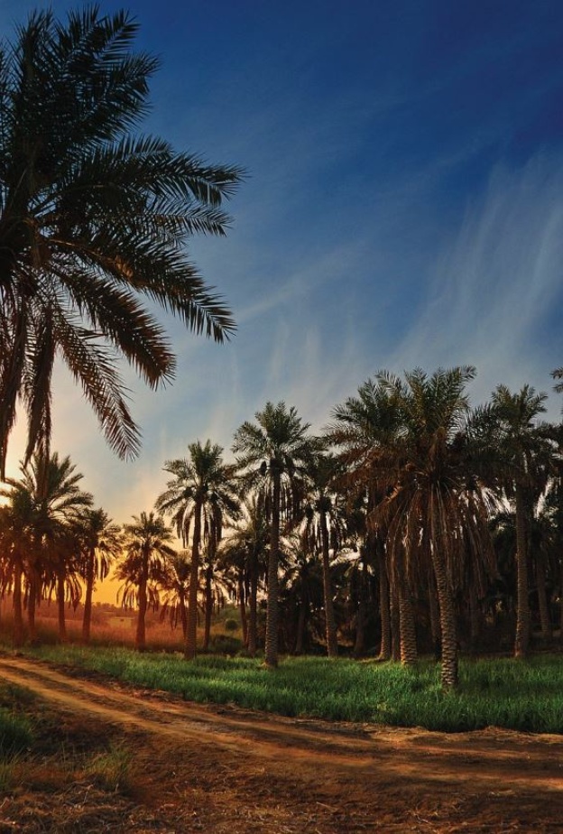 8 مواقع تراثية سعودية مسجلة في قائمة التراث العالمي لليونسكو