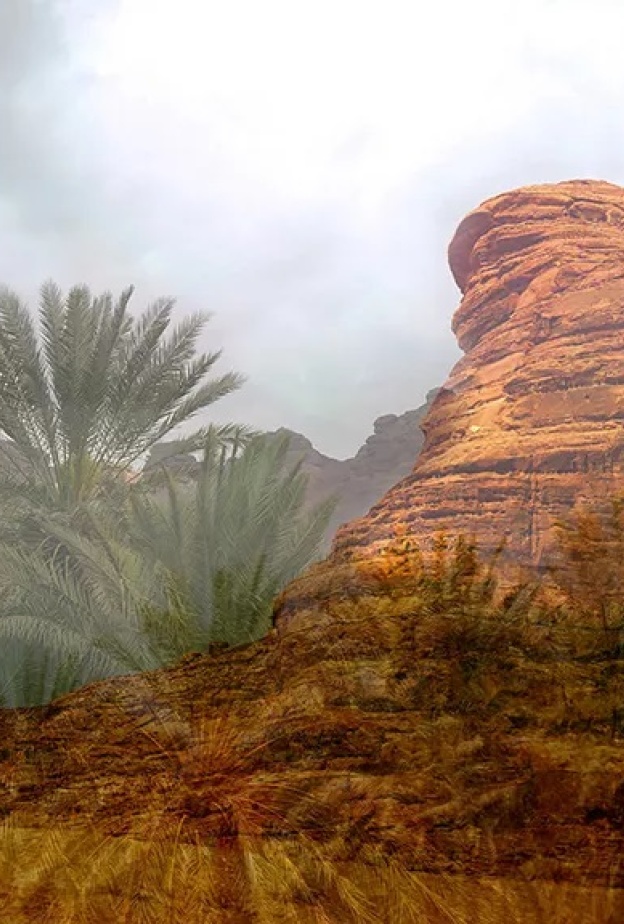إمارة موناكو تستضيف المعرض الفني المفتوح العلا نسيج الإبداع