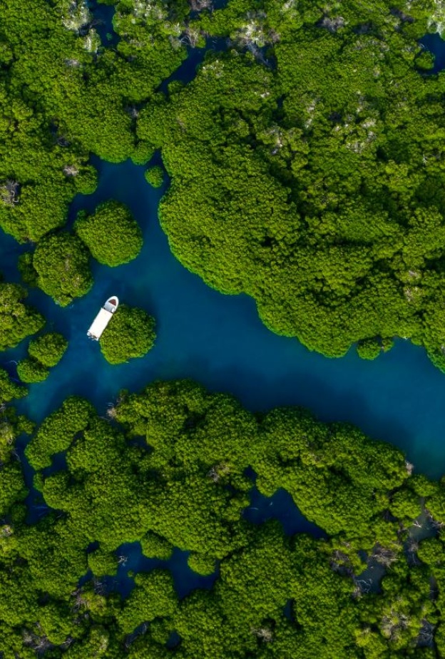 أبحروا بين جمال الطبيعة البكر في جزر فرسان.. إليكم أجمل التجارب