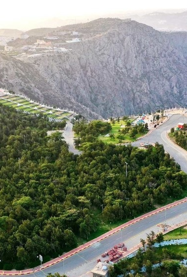 رحلة إلى قلب الطبيعة.. 7 مغامرات مثيرة في غابة رغدان