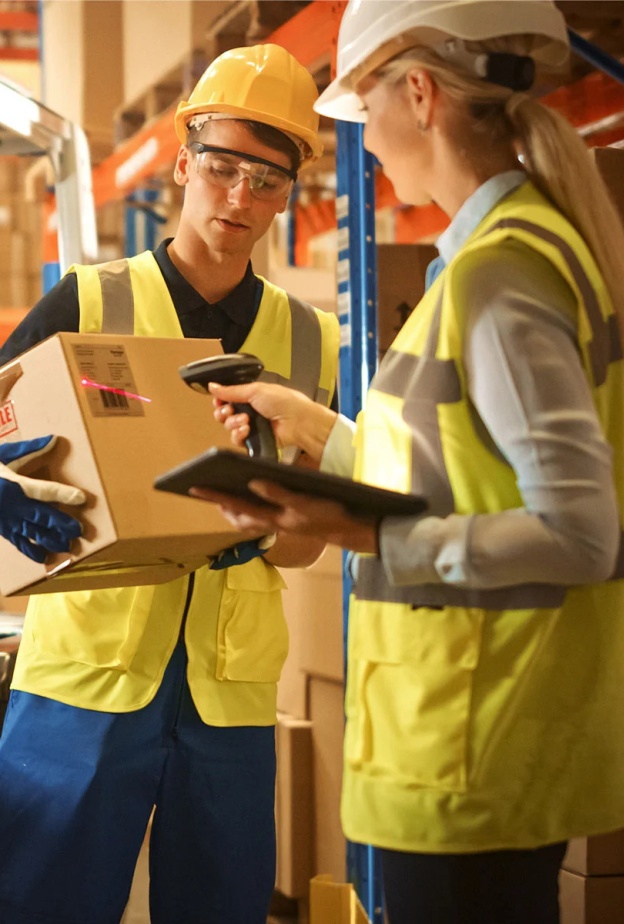 ما هو نوع شخصية اللوجستي؟