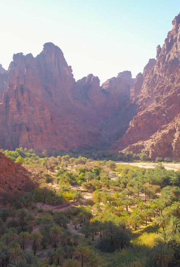 استمتعوا بسحر الطبيعة.. 10 أودية لا تفوتوا زيارتها في اليوم الوطني السعودي