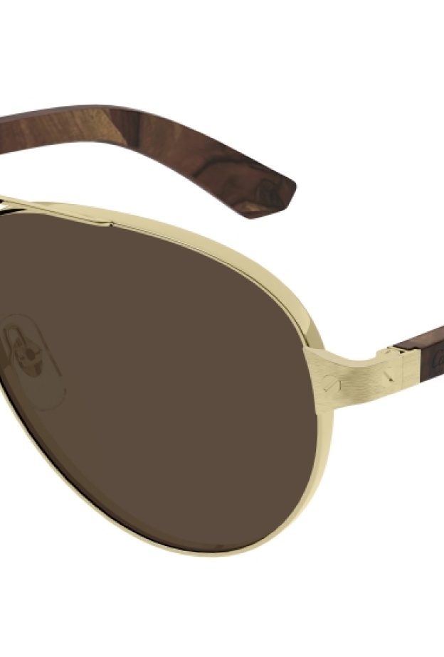 كارتييه وغوتشي وكلوي تطرح أحدث مجموعات نظارتها لموسم الخريف والشتاء