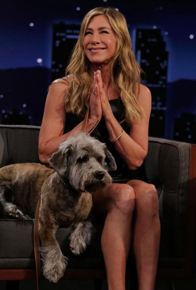 جينيفر أنيستون