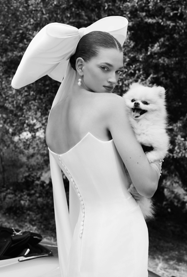 الأقواس في عروض سعيد قبيسي لعروس شتاء 2025