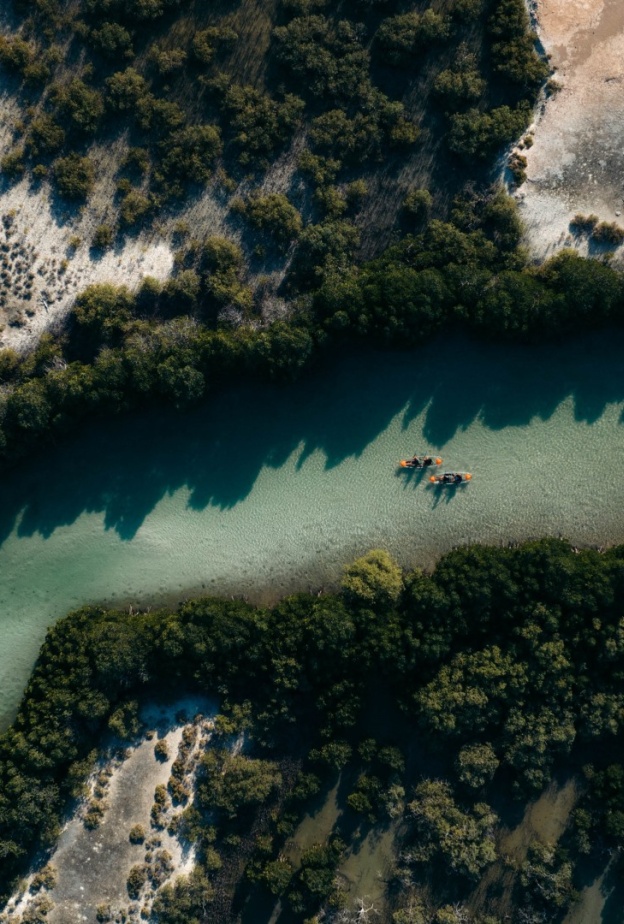 التجديف بقوارب الكاياك عبر غابات المانجروف في البحر الأحمر
