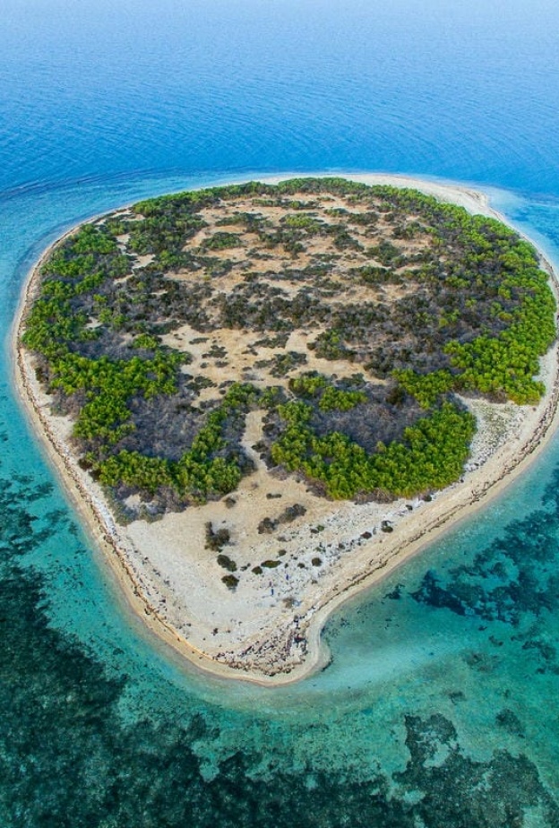 جزيرة أم القماري Umm Al- Qamari Island