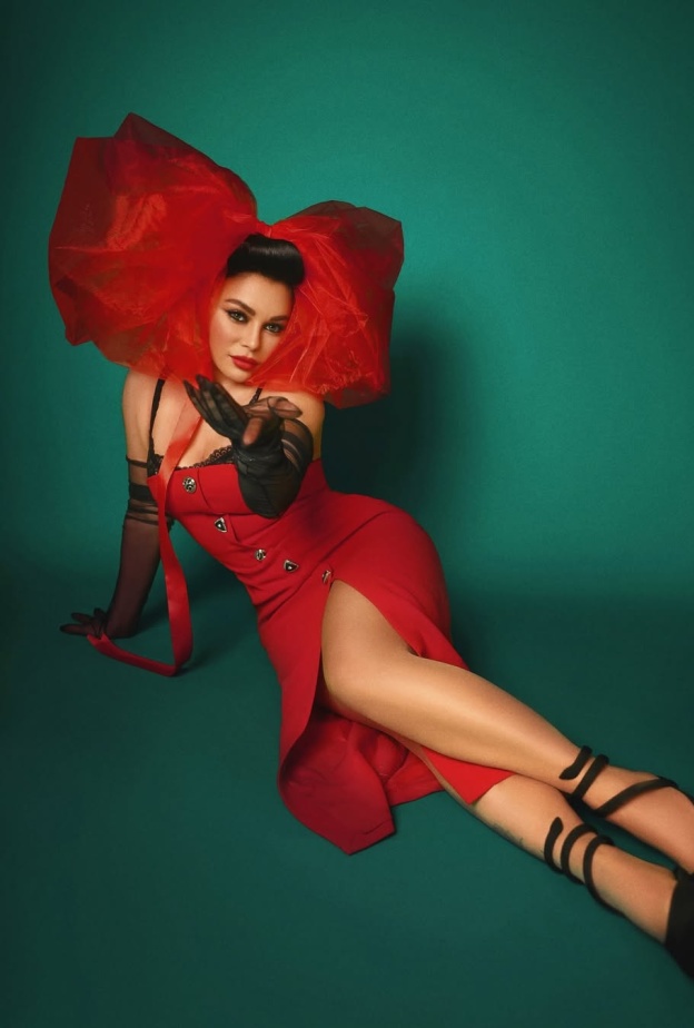 هيفاء وهبي تحتفل بالكريسماس على طريقتها الخاصة