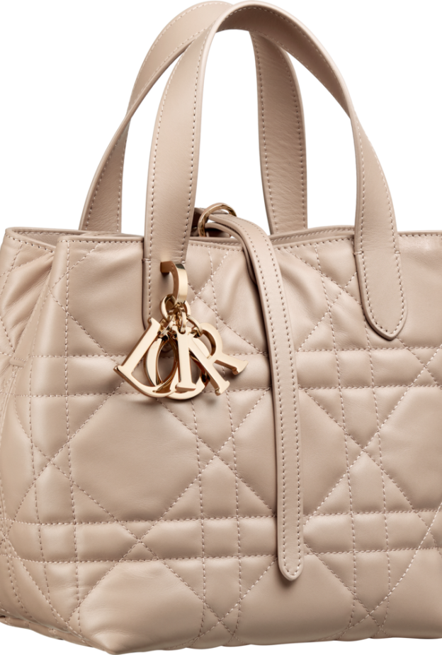 حقيبة Dior Toujours