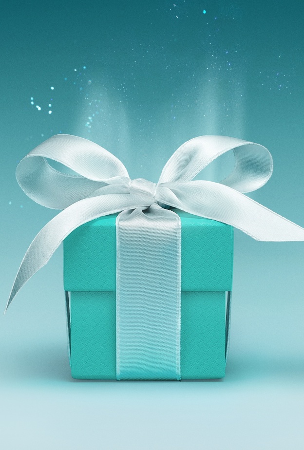 Holiday 2024 Blue Box