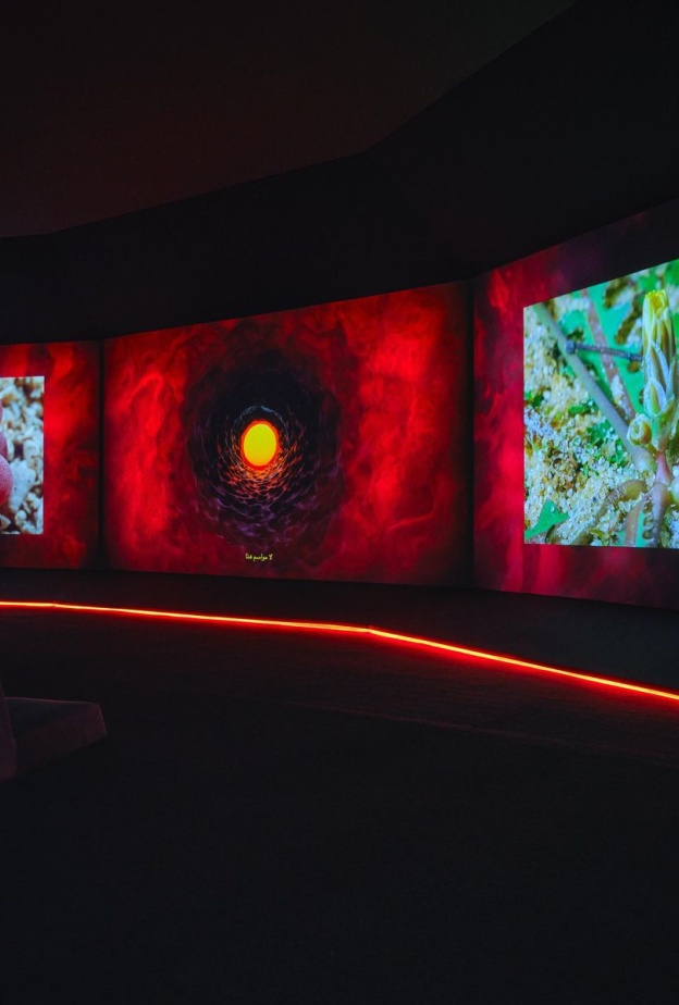 معرض «فنّ المملكة» يحُط رحالهُ في المتحف السعودي للفن المعاصر في جاكس