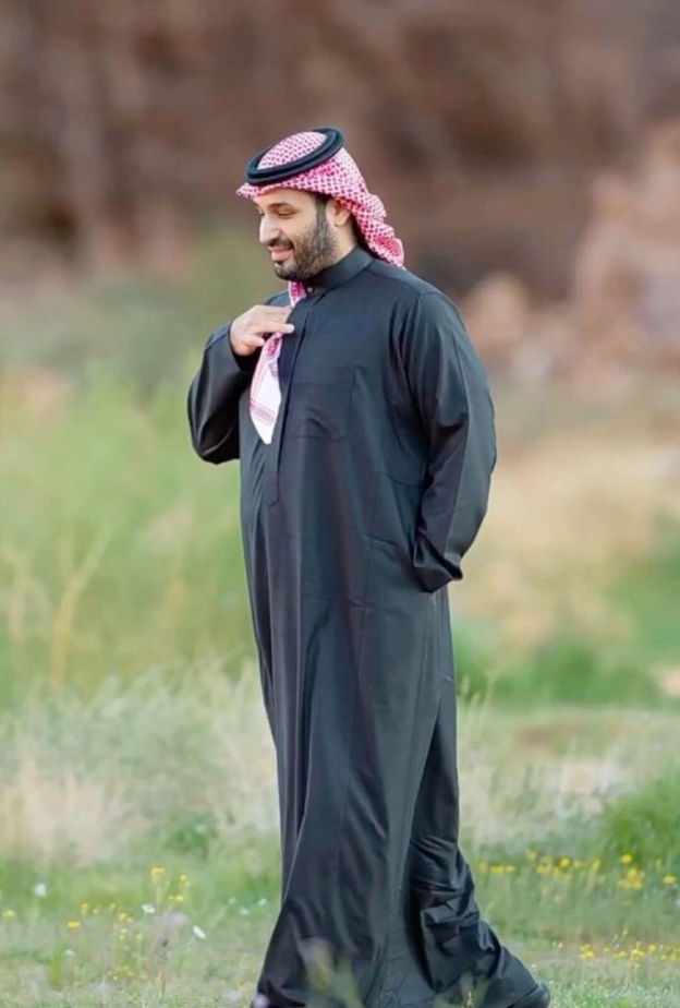 بتوجيه من سمو ولي العهد.. قصة نبتة نادرة غيّرت خارطة نيوم