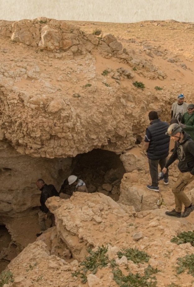 اكتشاف سعودي يغيّر التاريخ... 8 ملايين عام من التنوع البيئي في الجزيرة العربية
