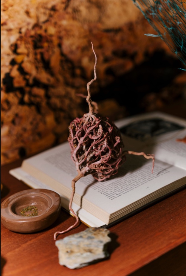 معرض "عَوْد وتلاق": من نيوم إلى أسبوع فن الرياض 2025.. حين يهمس الفن بتحولات الأرض والذاكرة