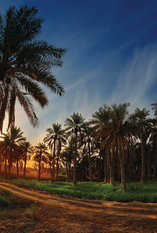 السياحة في الأحساء