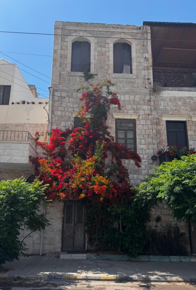 يوت ثقافية في عمّان