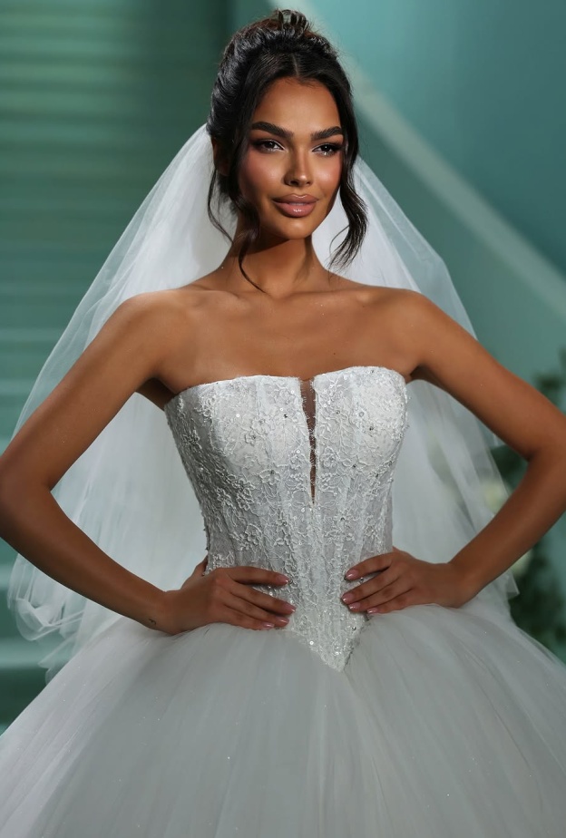 خصر الباسك في عروض Vladiyan Royal Dresses