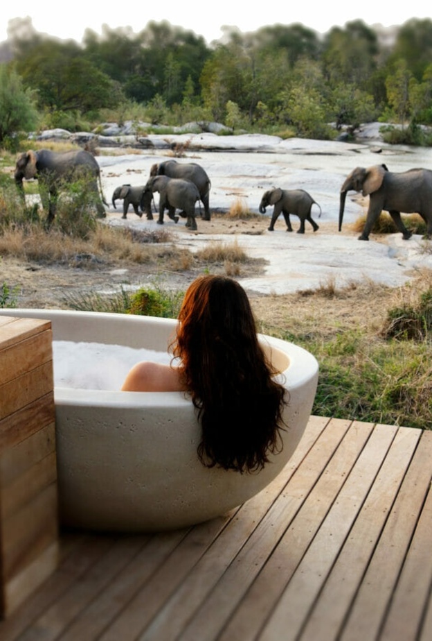 منتجع محمية لوندولوزي الخاصة للحيوانات البرية Londolozi Private Game Reserve