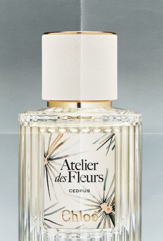 عطر CEDRUS بإصدار محدود تكريمًا لتراث دار Chloé