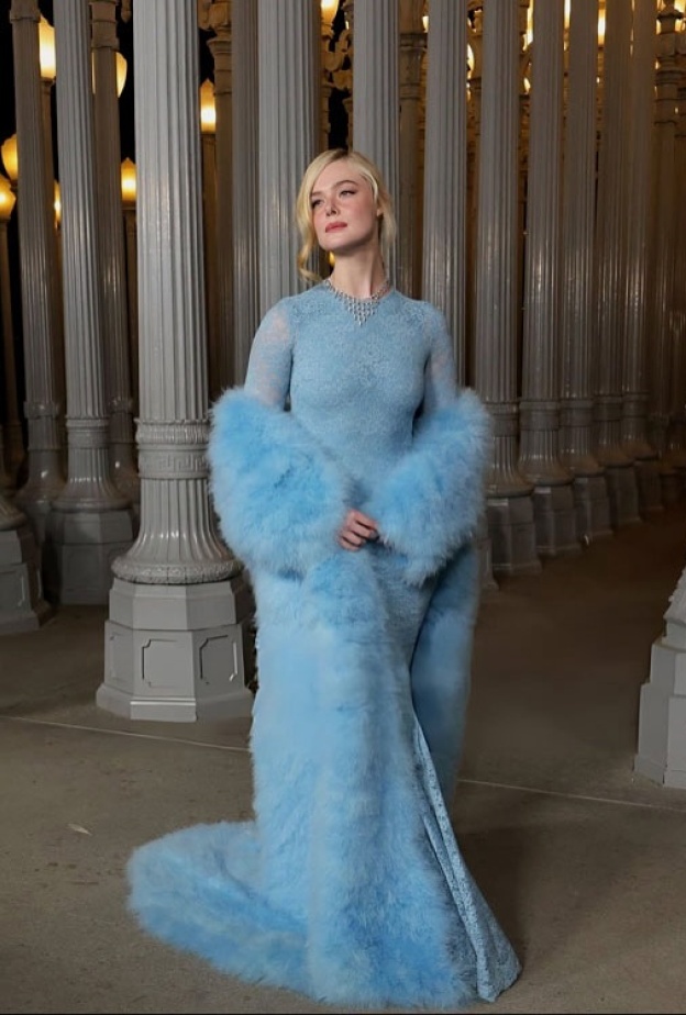 إيل فانينغ بفستان طويل بالأكمام الطويلة