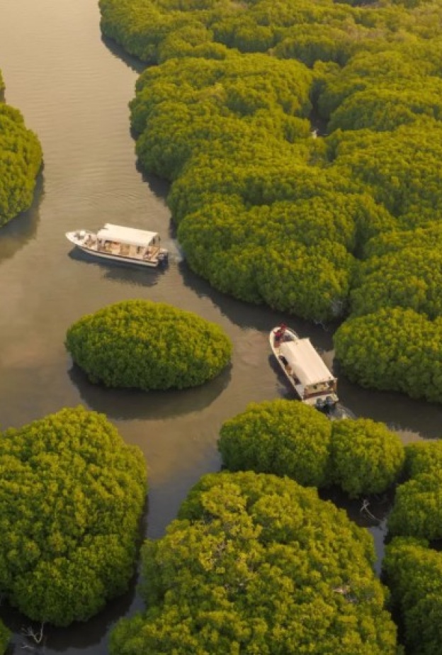 10 وجهات شتوية غير تقليدية يمكنكم الاستمتاع بزيارتها في المملكة